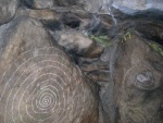 Spirals at solstice