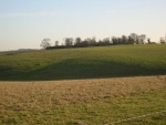 and leaving, we pass the barrows on the first horizon, in the cold solstice day