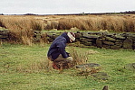 4barii2002robert.jpg